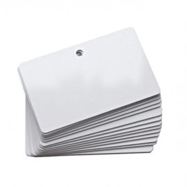 Evolis Plastikkarten, 100er-Pack-C4512